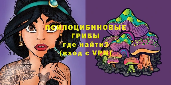 ГАЛЛЮЦИНОГЕННЫЕ ГРИБЫ Балабаново